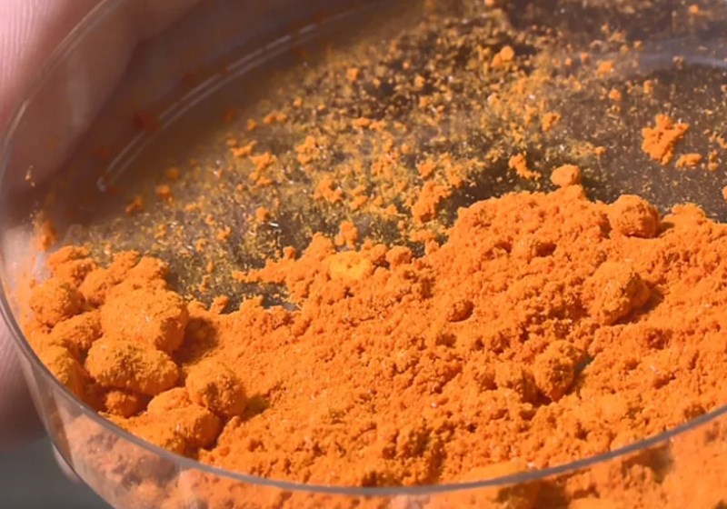 Foto: Rodrigo Sargaço/EPTV|Larvas que entram em contato com extrato de açafrão da terra morrem entre 3 e 48 horas. — Foto: Rodrigo Sargaço/EPTV