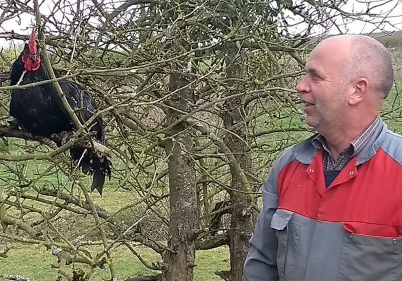 o pesquisador francês e uma das galinhas do pomar Foto: reprodução|