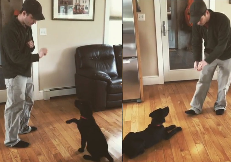 Fotos: Reprodução / Instagram / NickAndEmerson