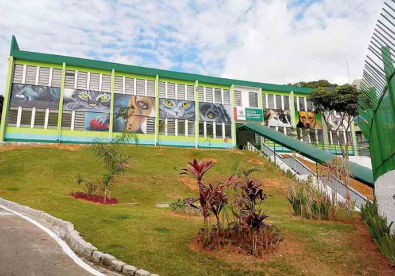 Foto: reprodução / CorreioPaulista