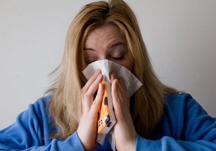 rinite_alergia Foto: Pixabay