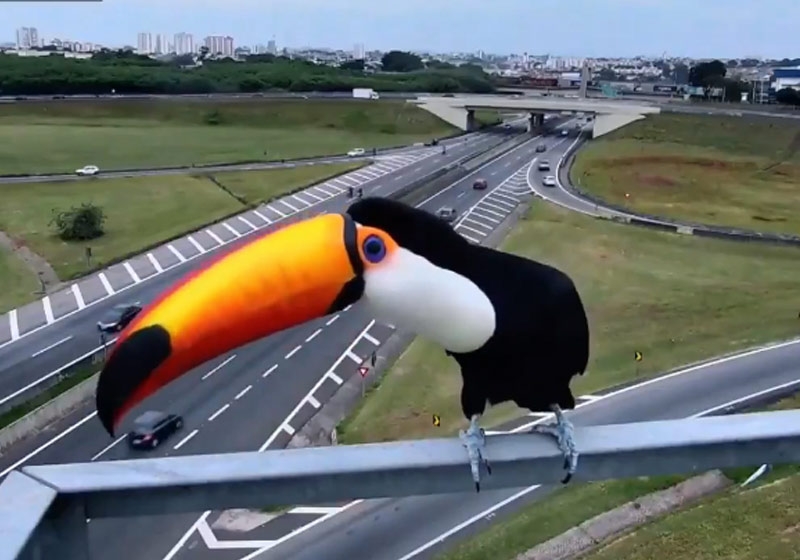 Foto: reprodução / Facebook / CCR Autoban