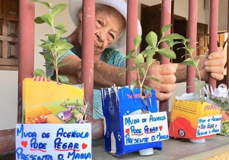 Dona Maria e as mudas - Foto: reprodução / Instagram|