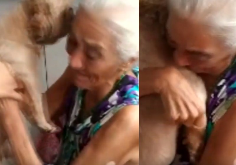 Foto: reprodução|Alaíde e a neta Steffanie com Billy Foto: Arquivo Pessoal