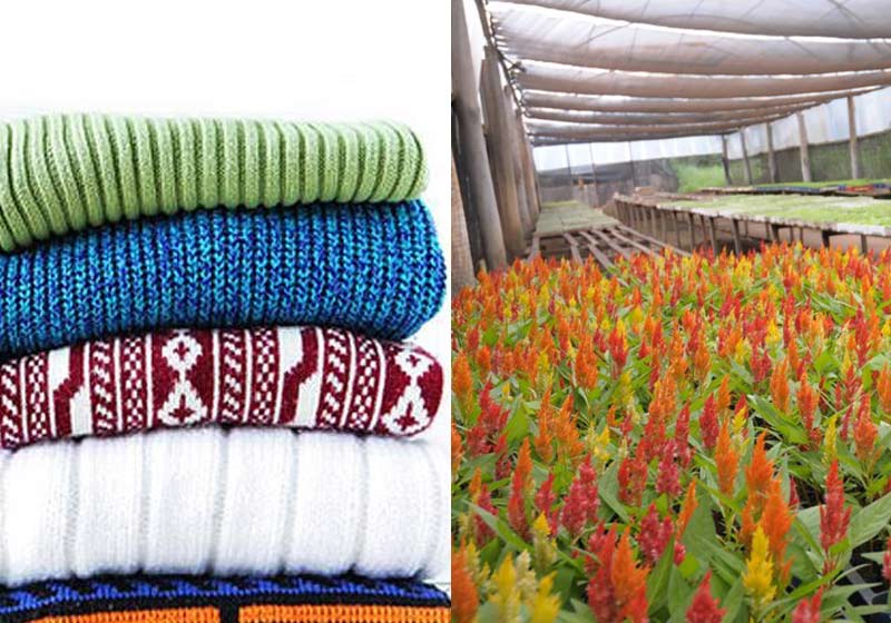 Fotos: LBV / Novacap|Fotos: LBV / Novacap