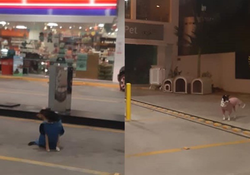 Foto: reprodução Facebook