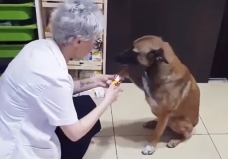 Foto: reprodução / Facebook