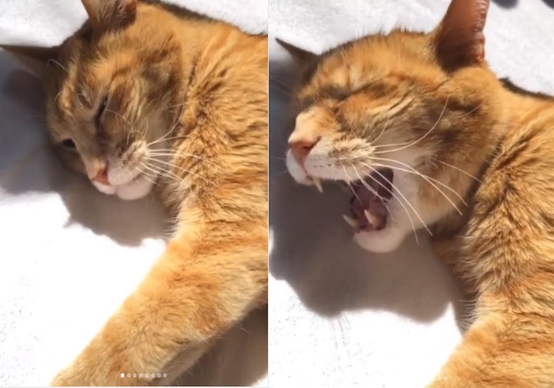 Foto: Reprodução Instagram|