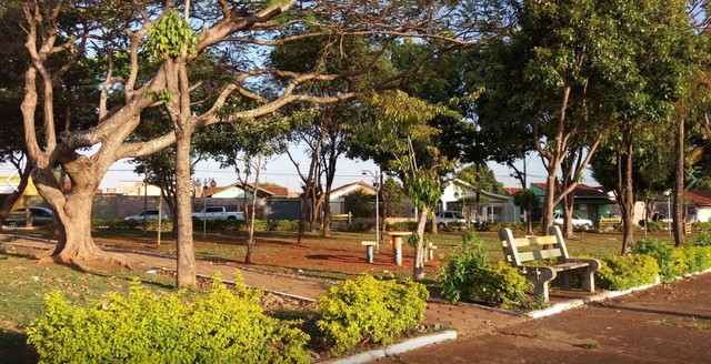 Praça de de Macatuba arborizada com projeto - Foto: arquivo pessoal