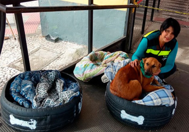 Foto: reprodução|Foto: Arquivo Pessoal||