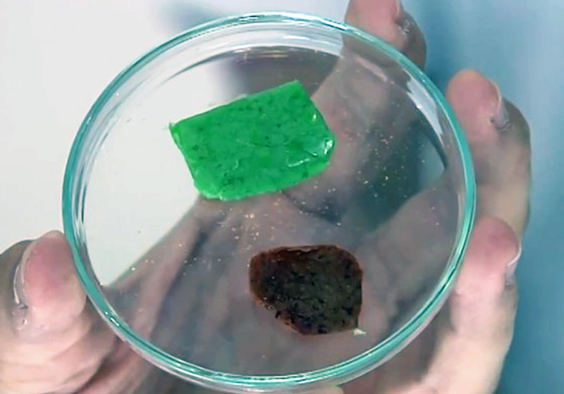 Chiclete de pimenta dos alunos do Sesi - Foto: reprodução / Tv Anhanguera|