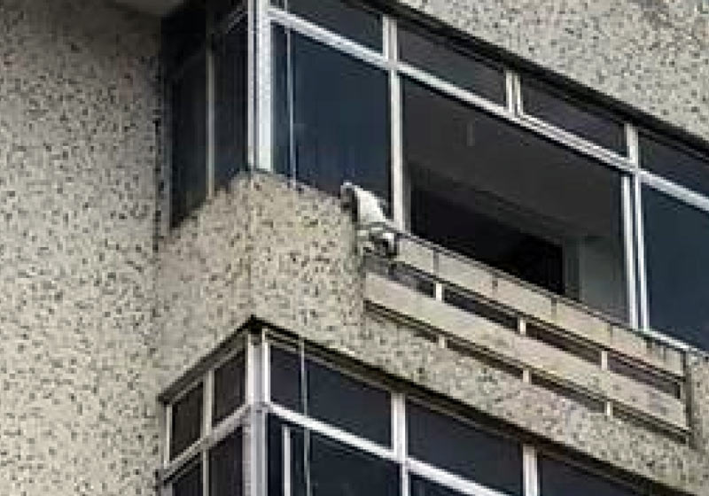 Foto: reprodução / Facebook / DiárioDoNordeste