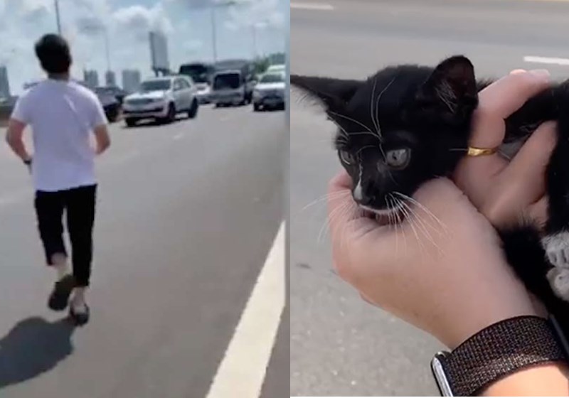 Foto: Reprodução|Foto: Reprodução