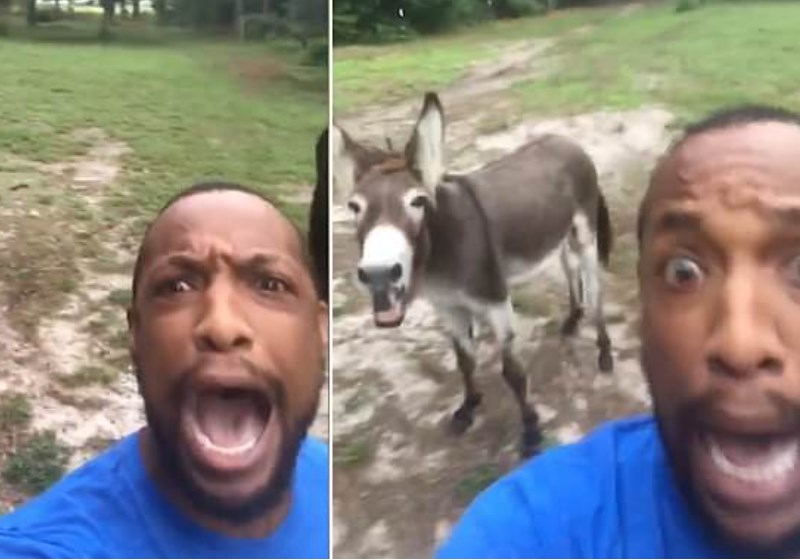 Foto: reprodução Facebook|Foto: reprordução Twitter