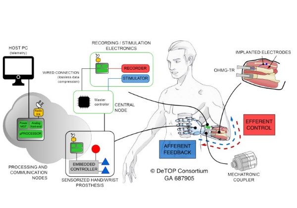 Como funciona o sistema Foto: Detop