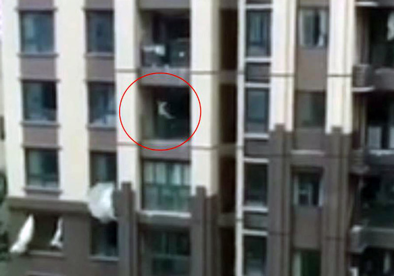 Foto: reprodução / CCTV