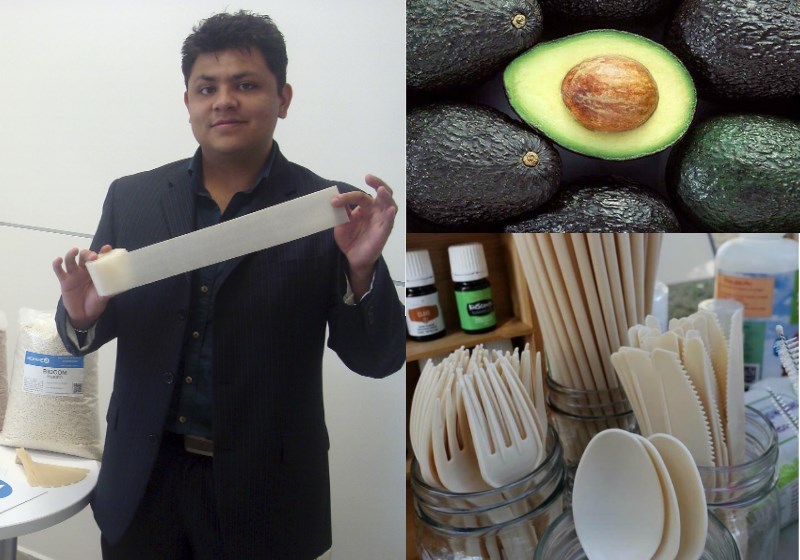 Foto: reprodução|Foto: Biofase