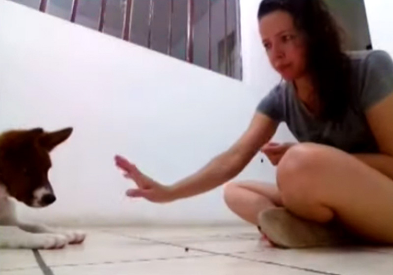 Dolly e Ana - Foto: reprodução / youtube