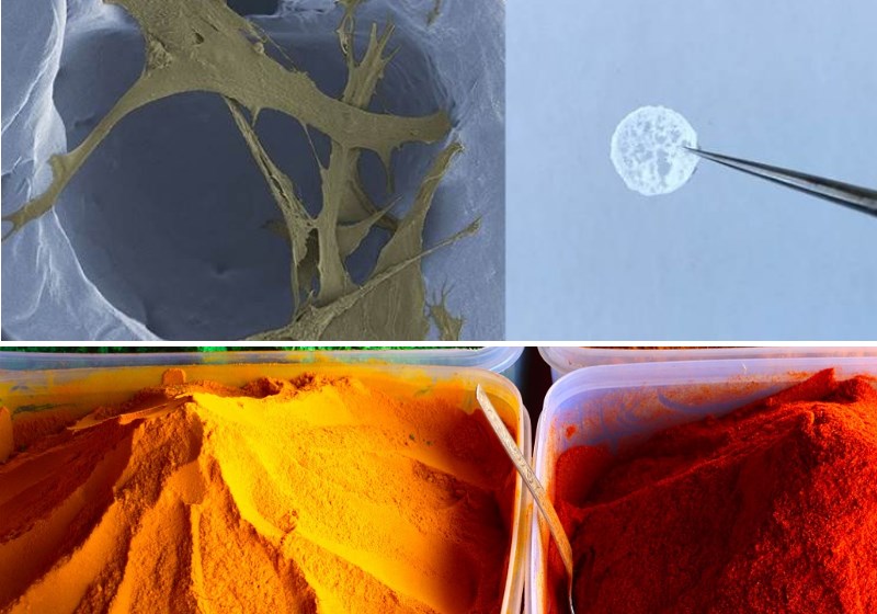 A espuma pode ser colocada em ferimentos da pele para otimizar o processo natural de cicatrização (foto acima) e o tempero do qual é extraído