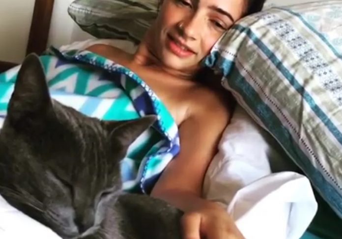 gato_lais Foto: reprodução instagram