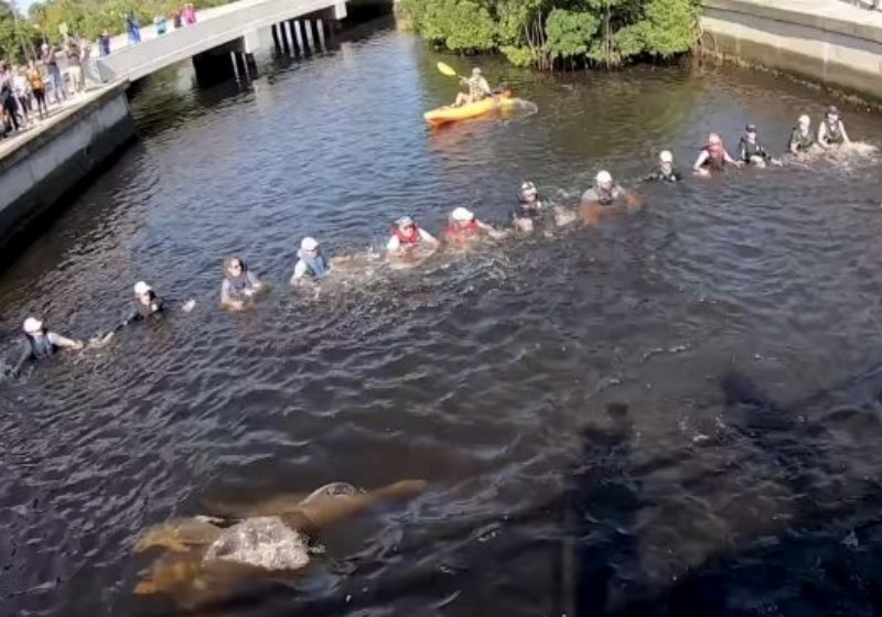 Foto: reproduçaõ Youtube