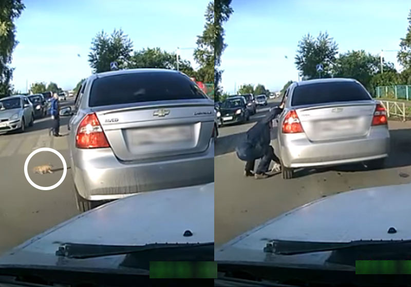 Fotos: reprodução / Youtube