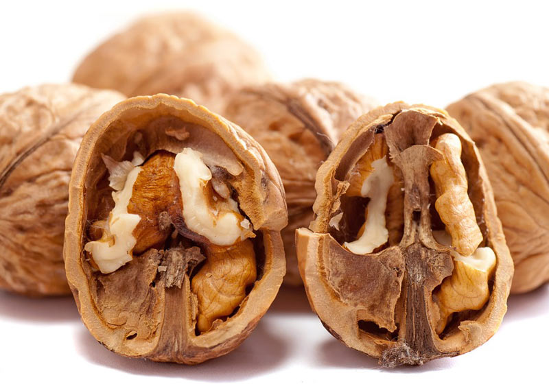 Nozes - Foto: Pixabay