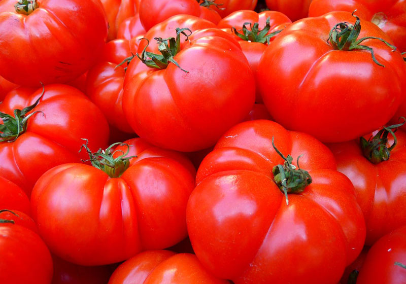 Tomate mais barato - Foto: Pixabay