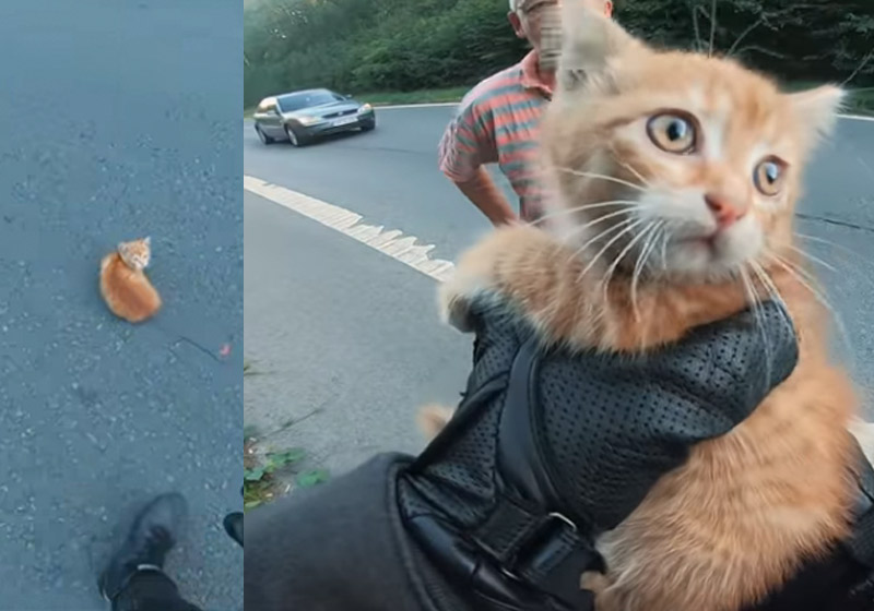 Fotos: reprodução / Youtube