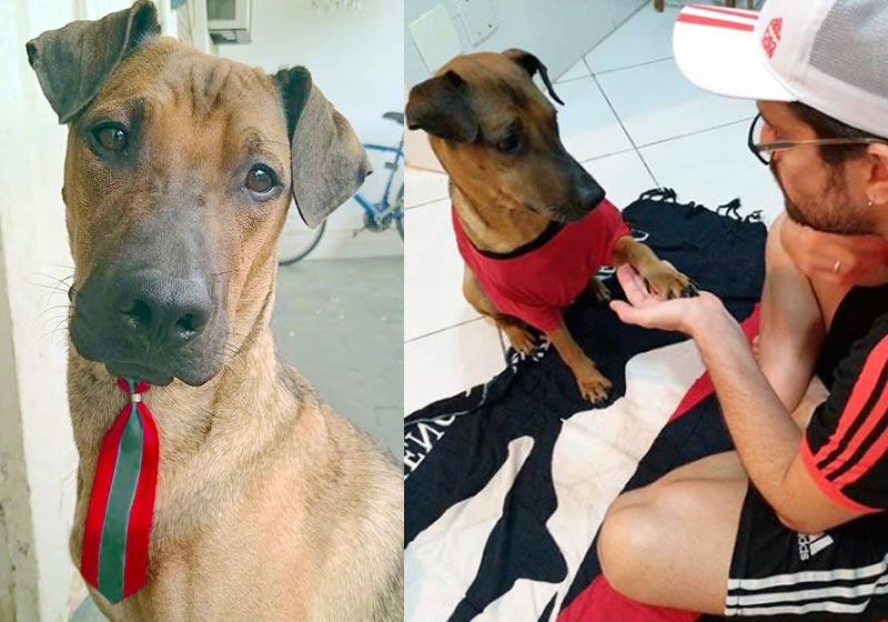 Doze e Danilo - Fotos: reprodução / Instagram