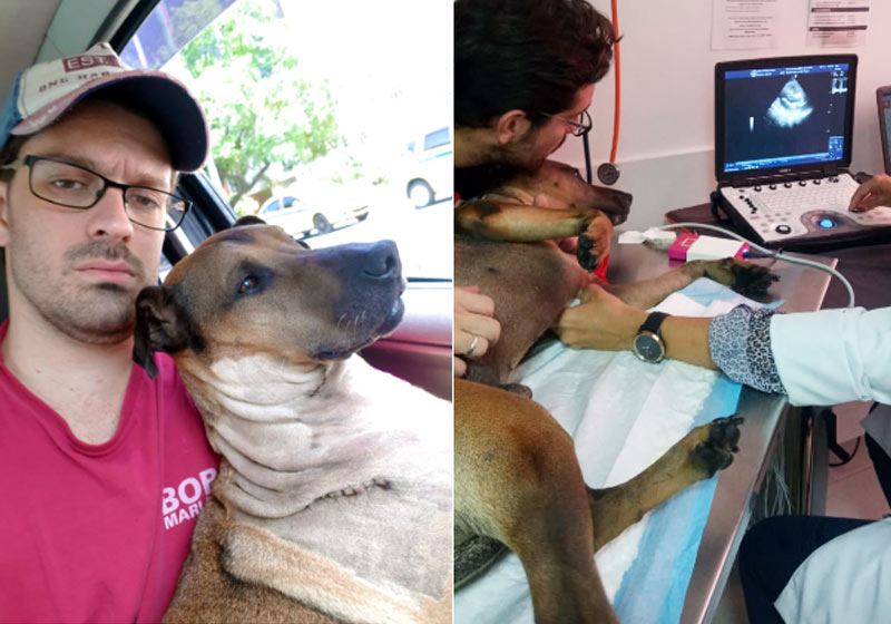 Doze com os pontos e no exame - Fotos: Danilo Mello|Doze com a veterinária - Foto: Danilo Mello