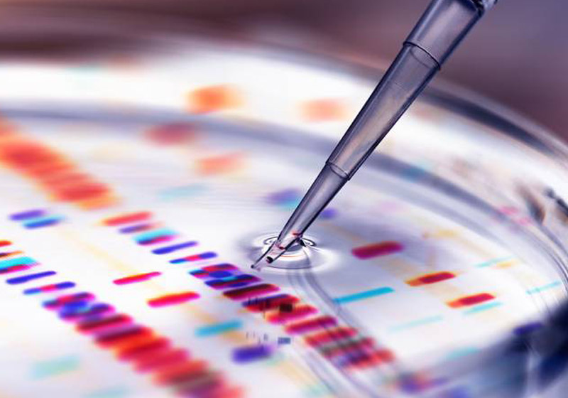 Foto: Andrew Brookes/Getty Images