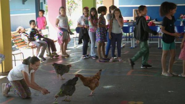 Foto: Reprodução/TV TEM