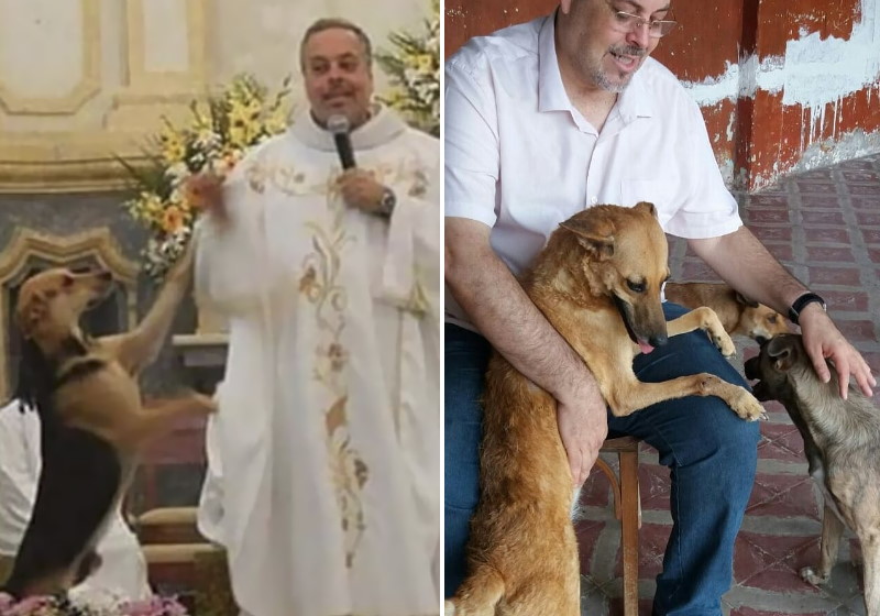 Foto: reprodução|Foto: reprodução|Foto: Padre João Paulo|O padre no veterinário com um dos animais Foto: Padre João Paulo|Cão quietinho na missa Foto: reprodução