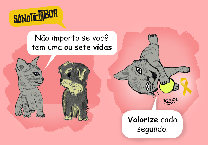 Charge: Arisson/ SNB