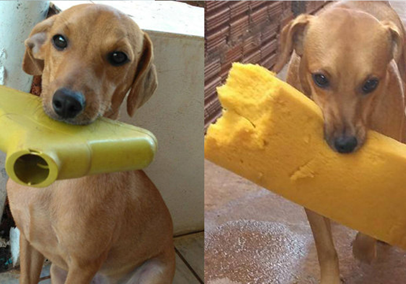 Foto: Arquivo Pessoal||||