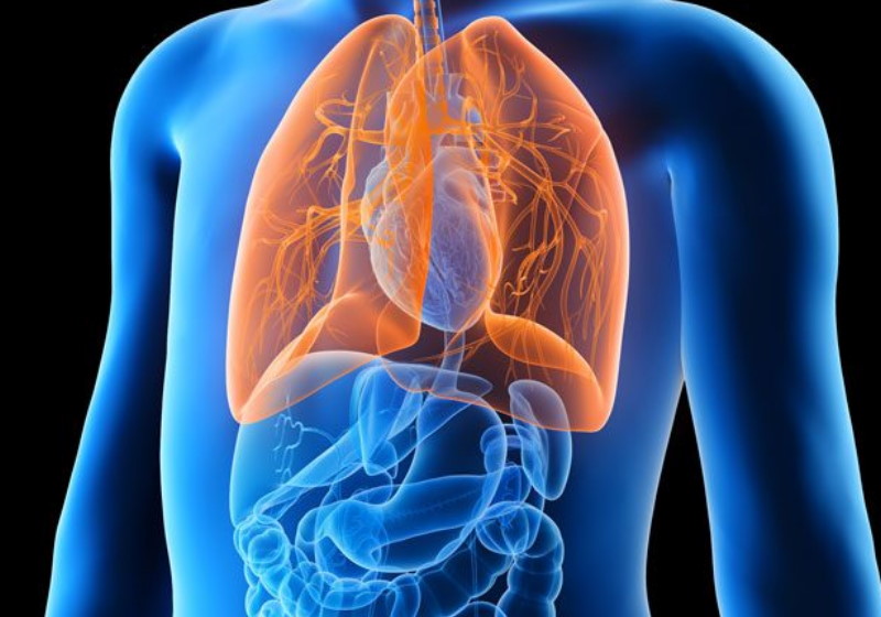 Foto: reprodução|Foto: divulgação