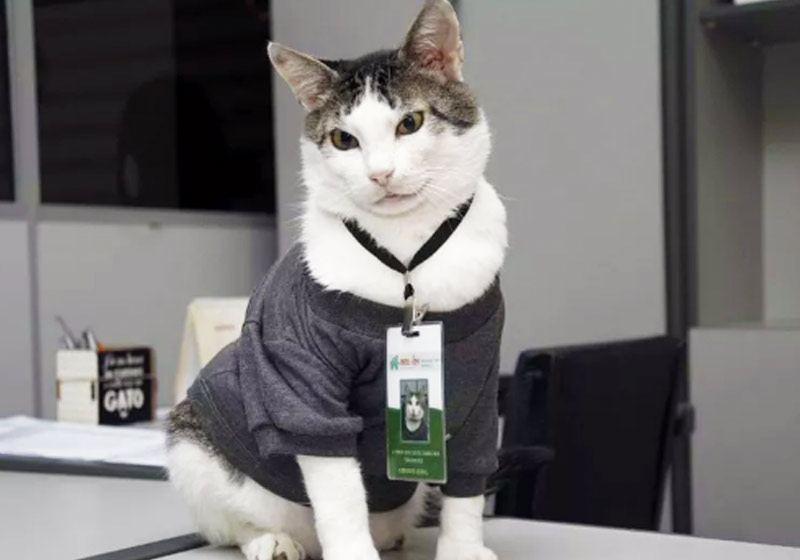 Athos na loja - Foto: reprodução / Facebook