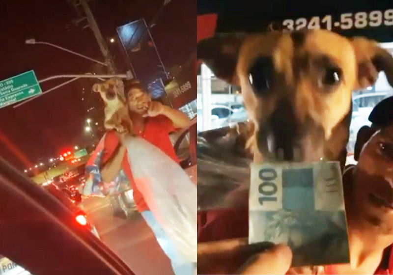 Fotos: reprodução / Instagram