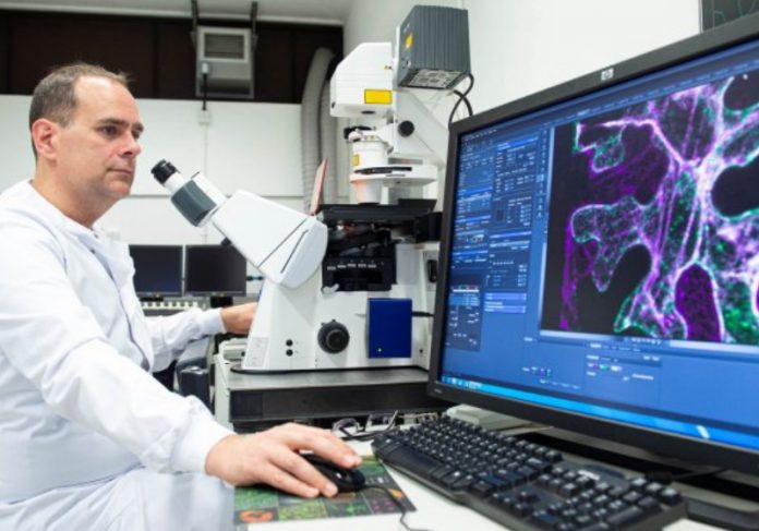 leite_materno Foto Rothamsted Research