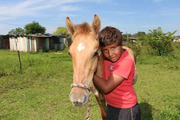 Pedro e o amigo Gateado - Foto: Lula Helfer