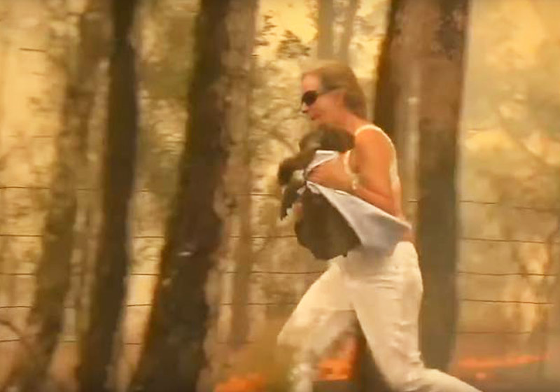 Tim correndo com o coala - Foto: reprodução / Youtube