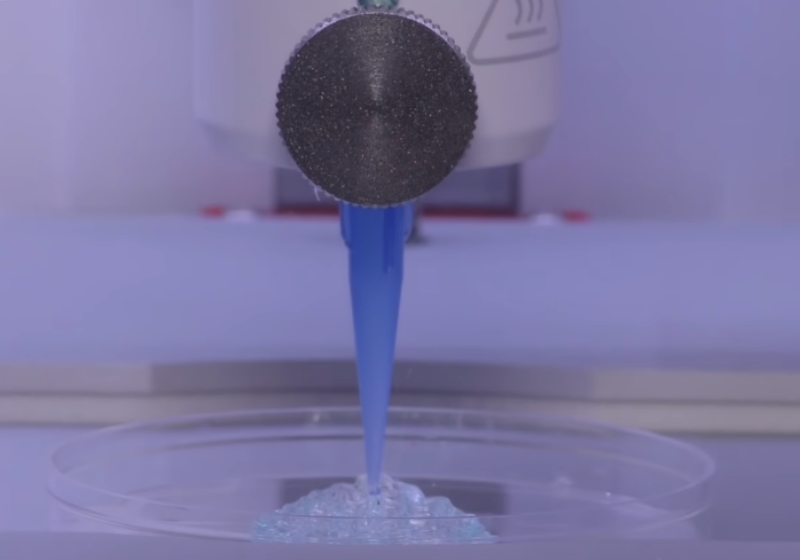 Foto: Rensselaer Polytechnic Institute