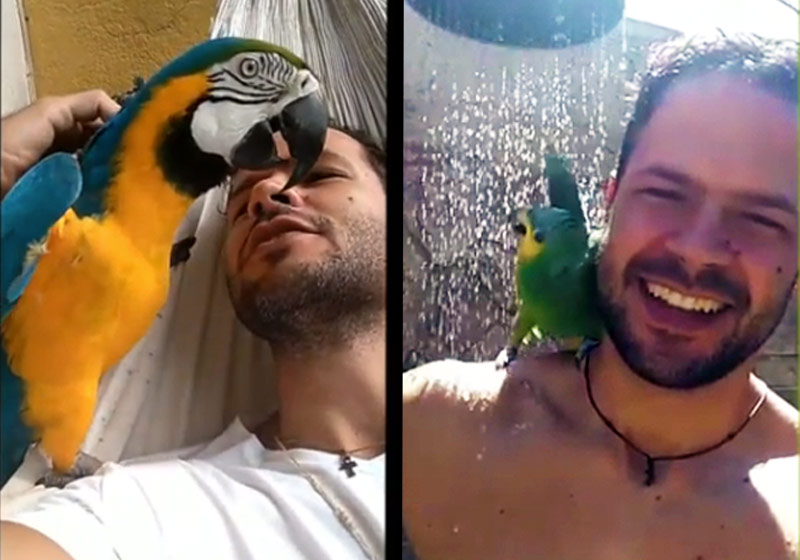 Patrick Dadalto - Fotos: reprodução / Instagram