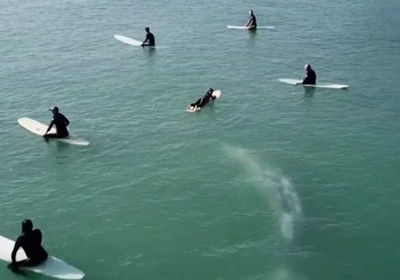 Foto: reprodução youtube