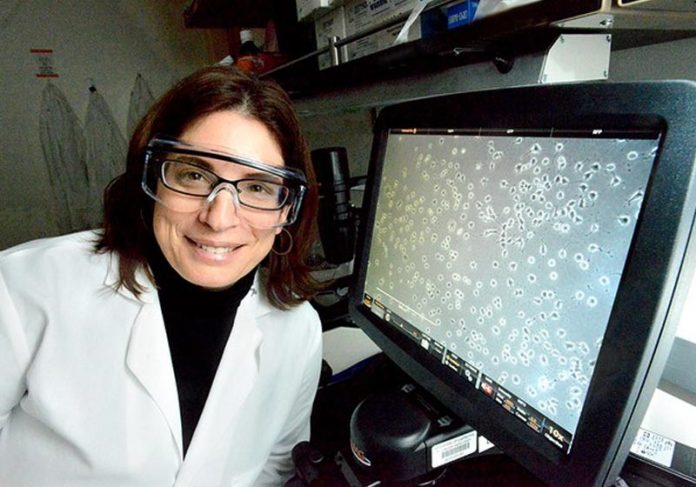 demencia-alzheimer-close Cientista Daniela Kaufer - Foto: Divulgação: Berkeley University