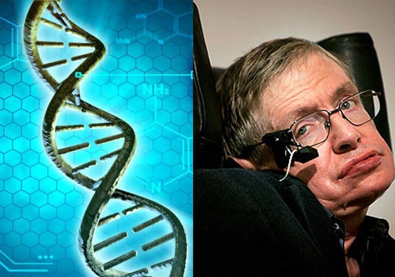 Stephen Hawking - Fotos: Pixabay e divulgação