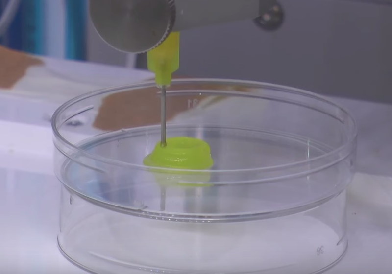 Foto: Agência Fapesp