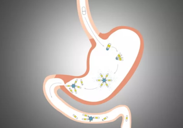Liberação do medicamento no organismo Foto: Reprodução MIT/Lyndra Therapeutics
