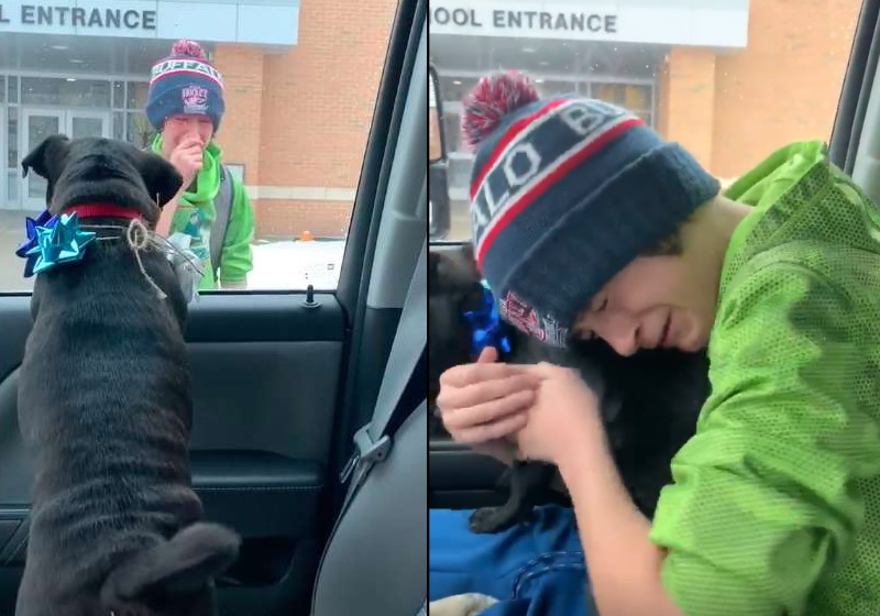 Foto: reprodução Facebook